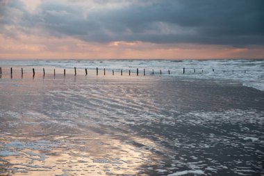 Wadden sea at low tide, North sea beach landscape, coast on Romo island in Denmark at sunset, vacation und lifestyle  clipart