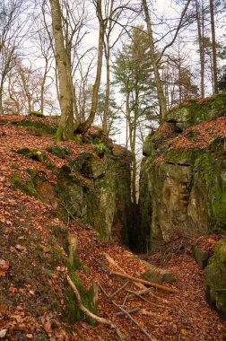 Eifel 'deki Devil Gorge, güçlü kaya ve kanyonlarla Teufelsschlucht, Almanya' da yürüyüş yolu, kumtaşı oluşumu, sonbahar 