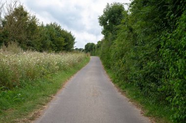 Yazın yol boyunca orman, yeşil ağaçlar ve çayırlar, yaprak döken ağaçların arasından geçen patika, manzara. 