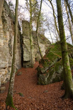 Eifel 'deki Devil Gorge, güçlü kaya ve kanyonlarla Teufelsschlucht, Almanya' da yürüyüş yolu, kumtaşı oluşumu, sonbahar 