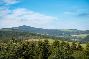 Manzara, yeşil çayır, çayır ve orman, kırsal Almanya, yazın tarım arazisi, Moselle vadisi, Rhineland Palatinate
