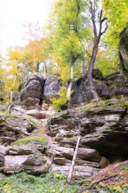 Mullerthal trail in Luxembourg between Echternach and Berdorf, hiking through a forest with sandstone rock formations clipart