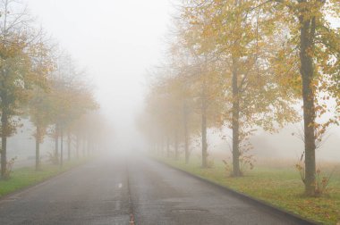 Sisli yol, yağmur, nem, sonbahar sabahında sis, düşük görüş mesafesi, kaygan cadde, bulutlu hava