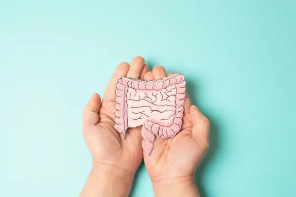 Kolon, kolorektal ya da rektal kanser, iltihaplı bağırsak hastalığı, kilo kaybı, abdominal ağrı ve yorgunluk, Morbus Crohn, ülseratif kolit, sindirim sistemi organı, tıbbi sağlık.