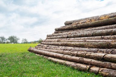 Doğranmış ağaç kütükleri bir ormanın, kereste endüstrisinin, çevresel, yenilenebilir enerji, kereste ve ormansızlaşmanın yanında birikmiş. 
