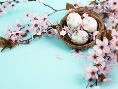 Kuş yuvasında renkli paskalya yumurtaları, pembe kiraz çiçekleri, bayram tebrik kartı, bahar sezonu geçmişi. 