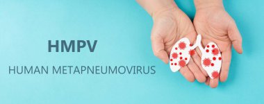 HMPV virus, human metapneumovirus, respiratory tract illness, contagious child disease of the lung  clipart