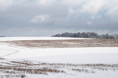 Karla kaplı ağaçlar ve zemin, kış mevsimi, kışın soğuk manzaralar, Almanya 'da manzara