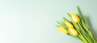 Mavi arka planda sarı lale çiçekleri, anneler günü için tebrik kartı, Paskalya bayramı, doğum günü, sevgililer günü, bahar mevsimi