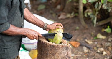 Hindistan 'da pazarda taze hindistan cevizi kesen adam, tropikal meyve ve süt içeceği, Goa plajı, Nam Hom hindistan cevizi