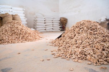 Zencefil kökü yığını, Hindistan 'da baharat fabrikası, satılık baharatlı gıda malzemeleri, depo zinciri, Kochi, Kerala 