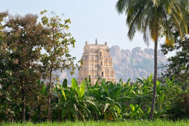 Hampi 'deki Virupaksha Tapınağı' nın etrafı kayalar, hindistan cevizi ağaçları ve muz plantasyonu ile çevrili. Güney Hindistan, Vijayanagara İmparatorluğu anıtı. 