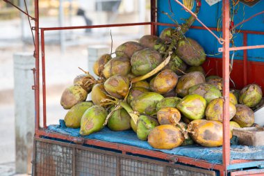 Hindistan 'da bir markette taze hindistan cevizi, tropikal meyve ve süt içeceği, Kochi plajı, Nam Hom hindistan cevizi