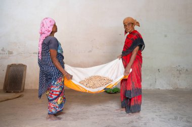 Zencefil kökü yığını, Hindistan 'daki baharat fabrikası, satılık baharatlı gıda malzemeleri, tedarik zinciri deposu, Kochi, Kerala, iş yerindeki kadınlar, 15.03.2025