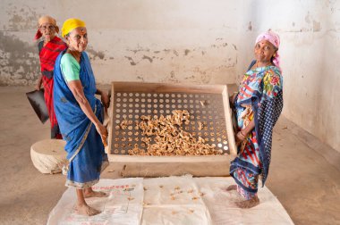 Hindistan 'da zencefil baharat fabrikasında çalışan kadınlar, baharat kökleri için elek, tedarik zinciri deposu, Kochi, Kerala, 15.03.2025 