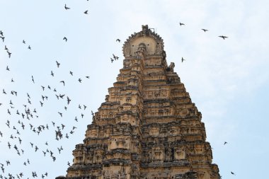Güney Hindistan, Hampi 'deki Virupaksha tapınağında uçan güvercinler, antik Vijayanagara İmparatorluğu' nun tarihi anıtı, Hindu kültürü ve dini