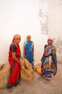 Hindistan 'da zencefil baharat fabrikasında çalışan kadınlar baharat kökleri için jüt çuvalı depo zinciri, Kochi, Kerala, 28.03.2025 