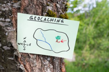 Geocaching, açık hava eğlencesi, saklanıp konteynır aramak için yön bulma, ormandaki geocache konumu, hazine avı oyunu, ağaç gövdesine not.