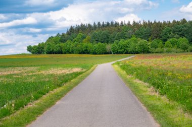 İlkbaharda çayırlarda, tarlalarda ve ormanlarda yol, yeşil ağaçlar, Almanya 'da yürüyüş yolu veya patika Almanya' da çiçek açan doğa
