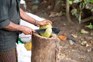 Hindistan 'da pazarda hindistan cevizi kesen adam, tropikal meyve ve süt içeceği, Kochi plajı, Nam Hom hindistan cevizi, Asya yaşam tarzı