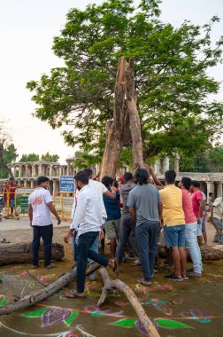 Holika Dahan, erkekler şenlik ateşi için odun toplar, Kolam renkli resim, Hindistan 'da Holi festivali akşamı, kötüyü yakar, iyinin zaferi, Hampi 14.03.2025