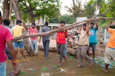 Holika Dahan, erkekler şenlik ateşi için odun toplar, Kolam renkli resim, Hindistan 'da Holi festivali akşamı, kötüyü yakar, iyinin zaferi, Hampi 14.03.2025