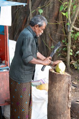 Hindistan 'da pazar yerinde hindistan cevizi kesen adam, tropikal meyve ve süt içeceği, Kochi plajı, Nam Hom hindistan cevizi, Asya yaşam tarzı, 29.03.2025