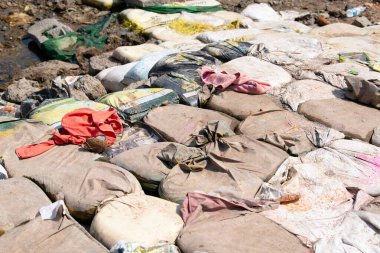 Hindistan, Hampi 'deki Tungabhadra nehrinin kıyısındaki kum torbaları ve pirinç çuvalları nehir kıyısını korur ve 16.03.2025' lik nemli toprağı kurutur.