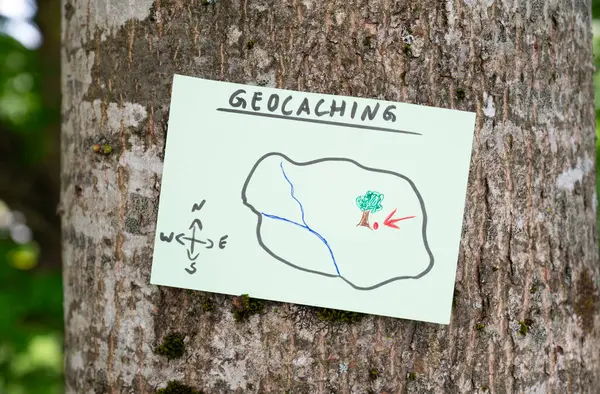 Geocaching, açık hava eğlencesi, saklanıp konteynır aramak için yön bulma, ormandaki geocache konumu, hazine avı oyunu, ağaç gövdesine not.