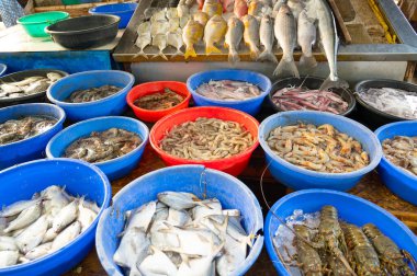 Kochi Hindistan 'da balık pazarı, taze deniz ürünleri ve Arap Denizi' nde balıkçılık yapan bir market.