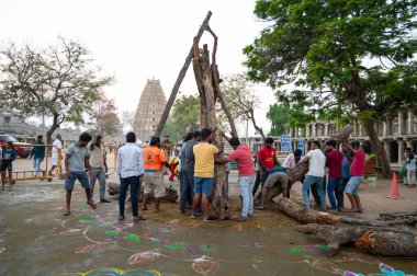 Holika Dahan, erkekler şenlik ateşi için odun toplar, Kolam renkli resim, Hindistan 'da Holi festivali akşamı, kötüyü yakar, iyinin zaferi, Hampi 14.03.2025