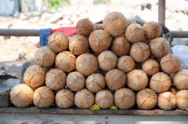 Hindistan 'da bir markette taze hindistan cevizi, tropikal meyve ve süt içeceği, Goa plajı, Nam Hom hindistan cevizi