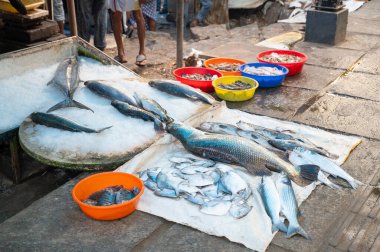 Kochi Hindistan 'da balık pazarı, taze deniz ürünleri ve Arap Denizi' nde balıkçılık yapan bir market.