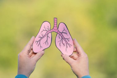 Ormanın önündeki insan ciğeri, taze ve sağlıklı nefes alan hava ağaçları, kirlilik astım sağlık sorununa, çevre konseptine neden oluyor