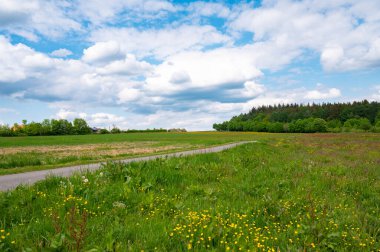 İlkbaharda çayırlarda, tarlalarda ve ormanlarda yol, yeşil ağaçlar, Almanya 'da yürüyüş yolu veya patika Almanya' da çiçek açan doğa 
