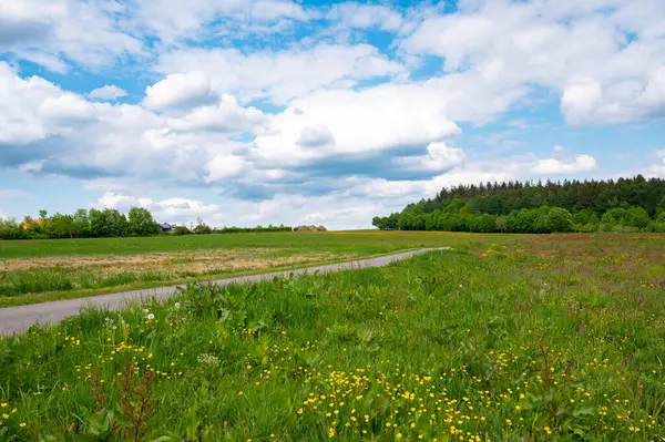 İlkbaharda çayırlarda, tarlalarda ve ormanlarda yol, yeşil ağaçlar, Almanya 'da yürüyüş yolu veya patika Almanya' da çiçek açan doğa 