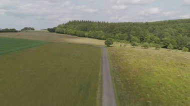 İlkbaharda çayırlarda, tarlalarda ve ormanlarda yol, yeşil ağaçlar, Almanya 'da yürüyüş yolu veya patika, çiçek açan doğa, hava manzarası