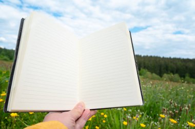 Boş kitap maketi, sarı çiçekli bahar çiçeği çiçeği çiçeği çiçekleri, doğada okuma, yazma etkinliği, defter.