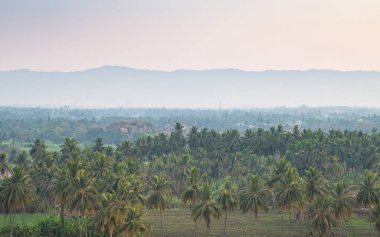 Hampi, Hemakuta Tepesi, Hindistan 'da günbatımı manzarası, palmiye ağaçları, Güney Hindistan, Karnataka,