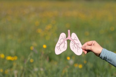 Tüberküloz, uzun solunum yolu hastalığı, astım hastalığı, kanser hücreleri, virüs ve hava kirliliği, tütün günü yok, organ bağışı yok.