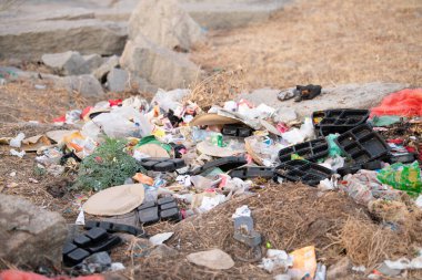 Hindistan sokaklarında atık, plastik kirlilik ve çevre hasarı, Hampi 'deki çöplük, Sahil Temizleme Günü, 11.03.2025