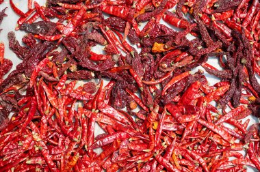 Hindistan 'da, güneşte kurutulmuş kırmızı biber baharatları Hint yemeği pişirmek için taze malzemeler. 