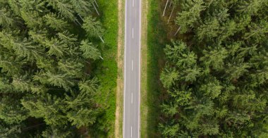Ormanda yol, hava manzarası, kozalaklı kozalaklı ağaçlar, iklim değişikliği, küresel ısınma, ekosistem ortamı, dünyanın yeşil akciğeri, sera salınımı