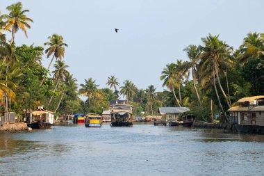 Hindistan 'da Alleppey durgun suları, su yolundaki Alappuzha yüzen evleri, Laccadiv Denizi' nin küçük kanalı, Kerala Tarshish toprağı, sakin su gövdesi.