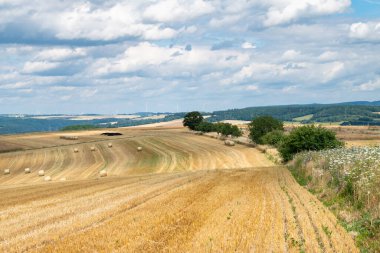 Saman ya da saman balyasıyla tarım tarlası, ekilmiş arpa, yazın hasat, kırsal alanda tarım arazisi, Almanya