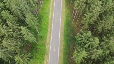 Ormanda yol, hava manzarası, Almanya 'da her daim yeşil kozalaklı ağaçlar, doğa ve taşımacılık, ekosistem ormanları, çevre