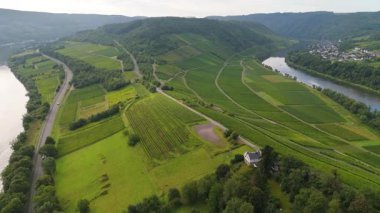 Zeller Hamm, Petersberg, Moselle vadisi üzerindeki hava manzarası, üzüm bağları, Eifel ve Hunsrueck dağları, Zell, Almanya yakınlarındaki Mosel nehri döngüsü.