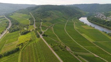 Zeller Hamm, Petersberg, Moselle vadisi üzerindeki hava manzarası, üzüm bağları, Eifel ve Hunsrueck dağları, Zell, Almanya yakınlarındaki Mosel nehri döngüsü.