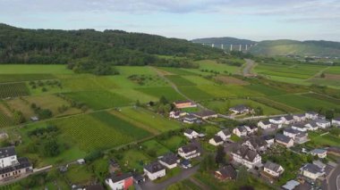 Kinheim Kroev köyü, Bernkastel yakınlarındaki Moselle vadisi, hava manzarası, Mosel manzarası, üzüm bağı dağı ve Moselle köprüsü Zeltingen, Rhineland Palatinate, Almanya