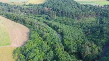 Yazın orman, orman ve çayırlık, Almanya 'da manzara, çiçek açan doğa, Trier üzerinde hava manzarası, çevre ve ekosistem